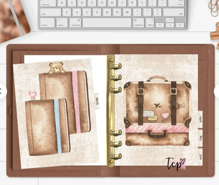 Travel girl 12 Month Divider Set