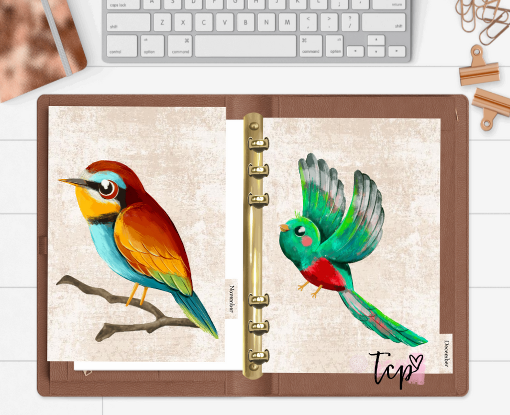 Exotic Birds 12 Month Divider Tab Set