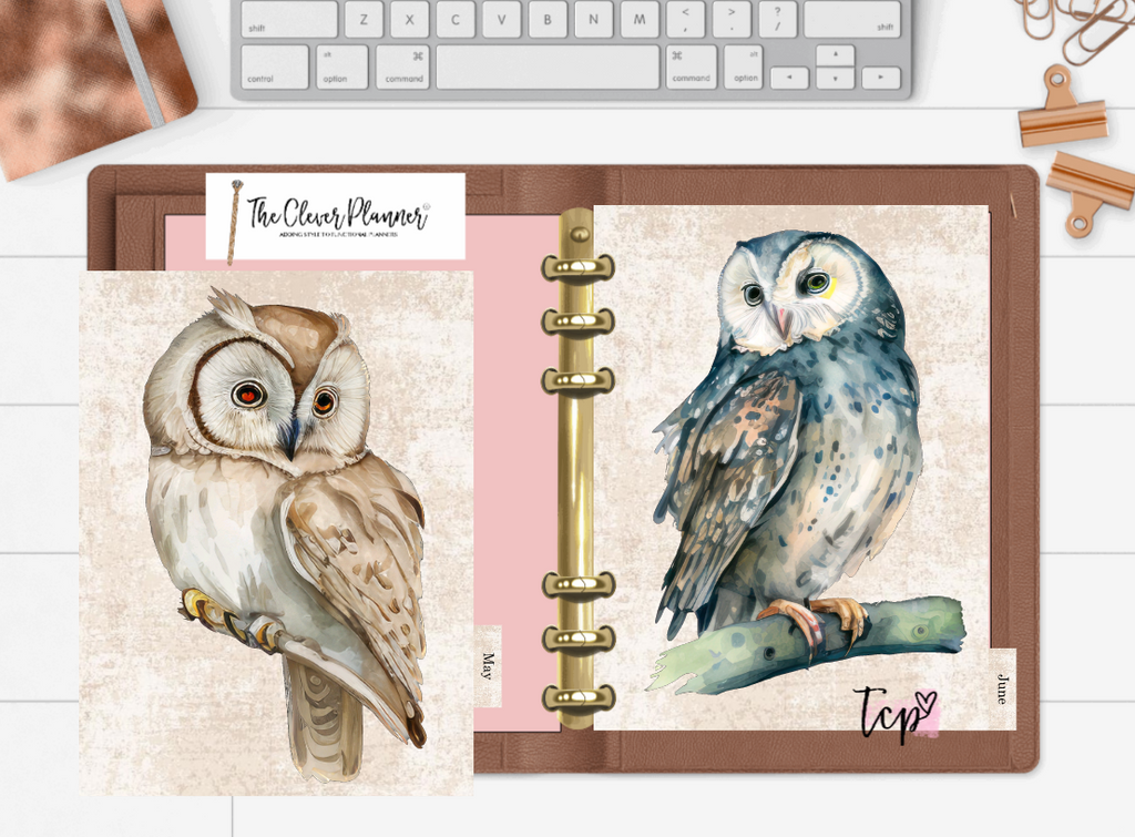 Owl 12 Month planner insert divider tab set