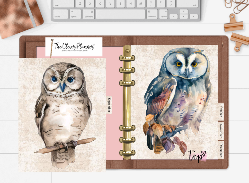 Owl 12 Month planner insert divider tab set