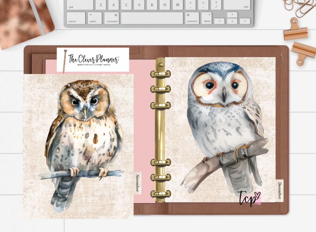 Owl 12 Month planner insert divider tab set